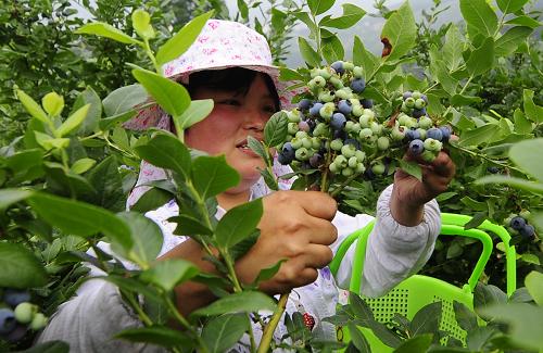 63գڱعɽݮֲزժݮ