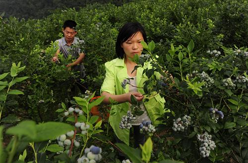 63գڱعɽݮֲزժݮ