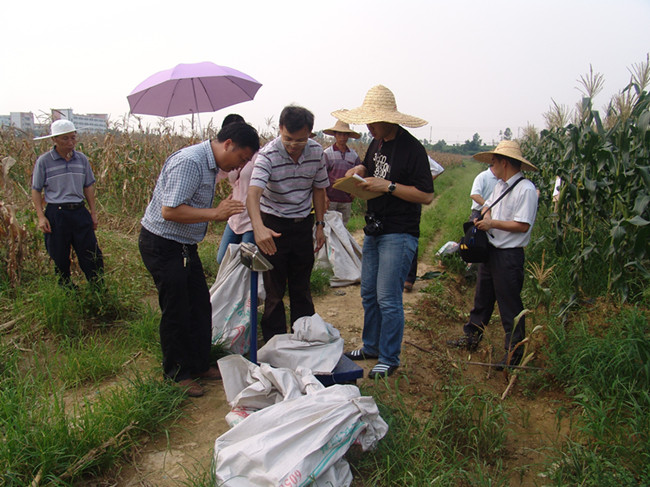 广东惠州惠阳区粮食高产创建活动顺利通过专家组验收