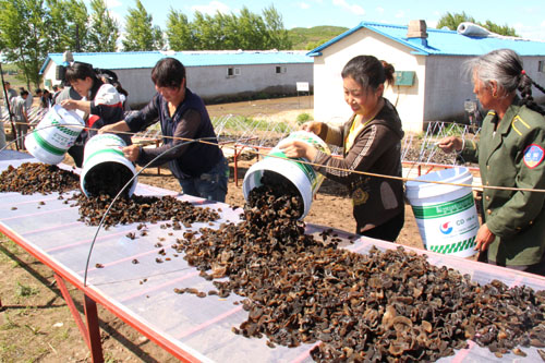 ɹšһ䱦ױдľհס2