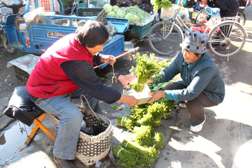 内蒙古:舌尖上“佳肴”扎兰屯市山野菜“飘香”大江南北
