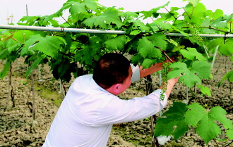 ˼ͷִЧũҵҵ԰ѳϲ