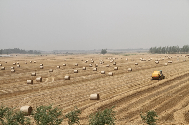 ���ջ�Զ����� ������е������