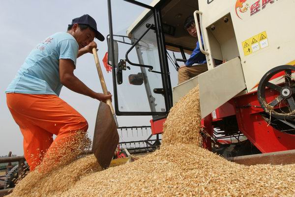 �����Ϫ���幵��С�����ո�