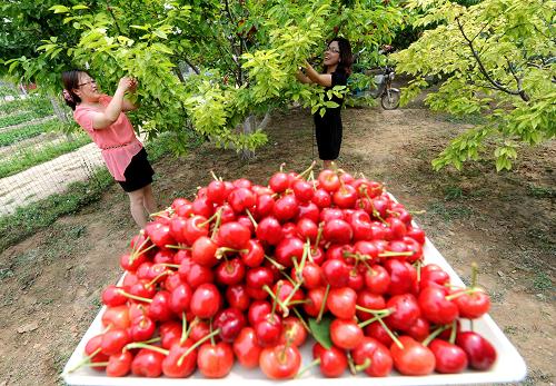 �ӱ������أ�Сӣ�ҳ��¸��������