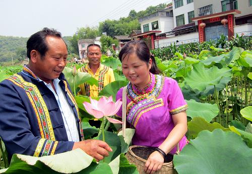 浙江武义生态农业稳步发展