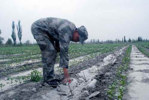 ½ʮżӴֲ2000Ķ԰ȷɻ