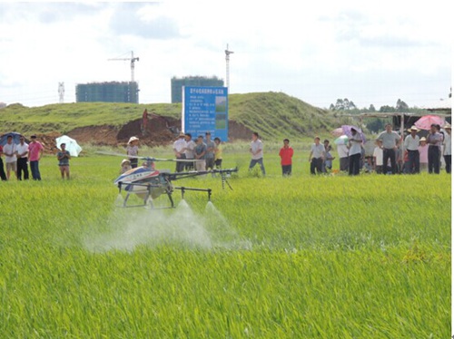 㶫ƽ֯ٿˮ溦ɫֳĦ