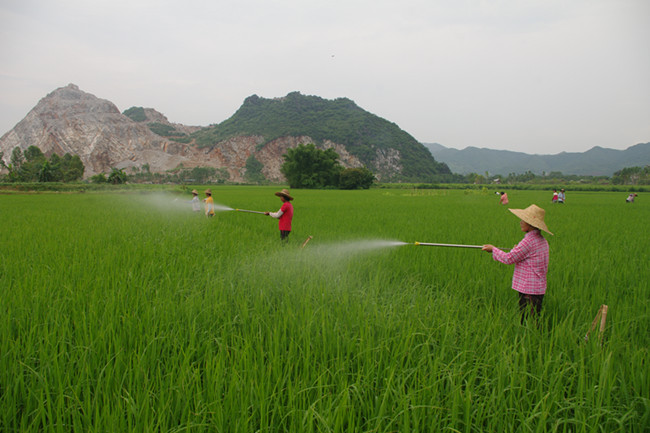 㶫ũѧУչˮ溦ͳͳι