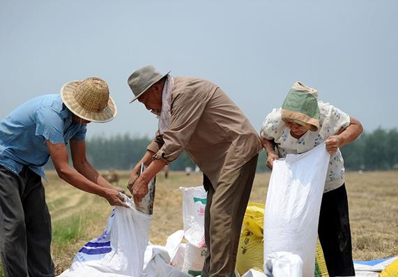 64գھڰ£УϰӢңΪСװ