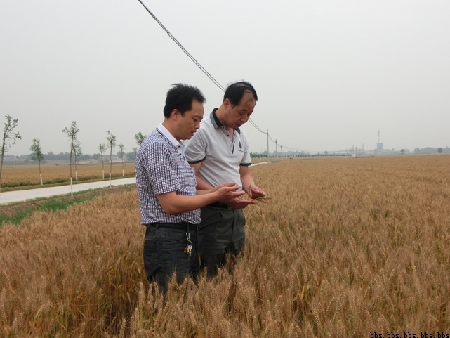 ������ƽ��������Ķ�������Ը���ʾ����С���������