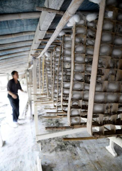 6��6�գ�ɽ��ʡ�Ͳ��и����غӹ�����ũ�ڲ����ժ����ϼ롣