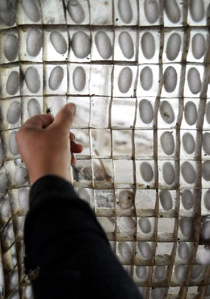 6��6�գ�ɽ��ʡ�Ͳ��и����غӹ�����ũ�ڲ����ժ����ϼ롣