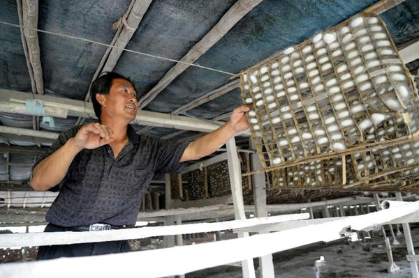 6��6�գ�ɽ��ʡ�Ͳ��и����غӹ�����ũ�ڲ����ժ����ϼ롣