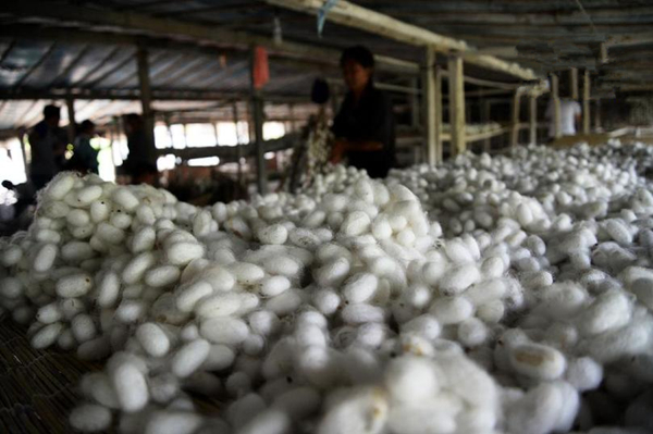 ɽ������ɣ֮�硱�ϼ����