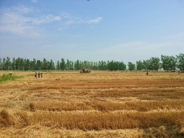 ���ջ����нոѽ��չ�����ץʵ��