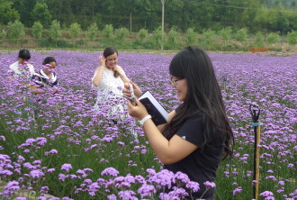 ִ߽Чũҵʾ԰ƶģʽ