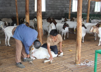 ¡ɳϴرĸ԰аιϰֻ볬4000Ԫ