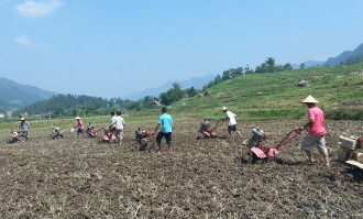 ƵȺӹ߲˲ҵ԰פҵǭ˾Ƹ뵱ũ߲˻أÿ¹3000Ԫ