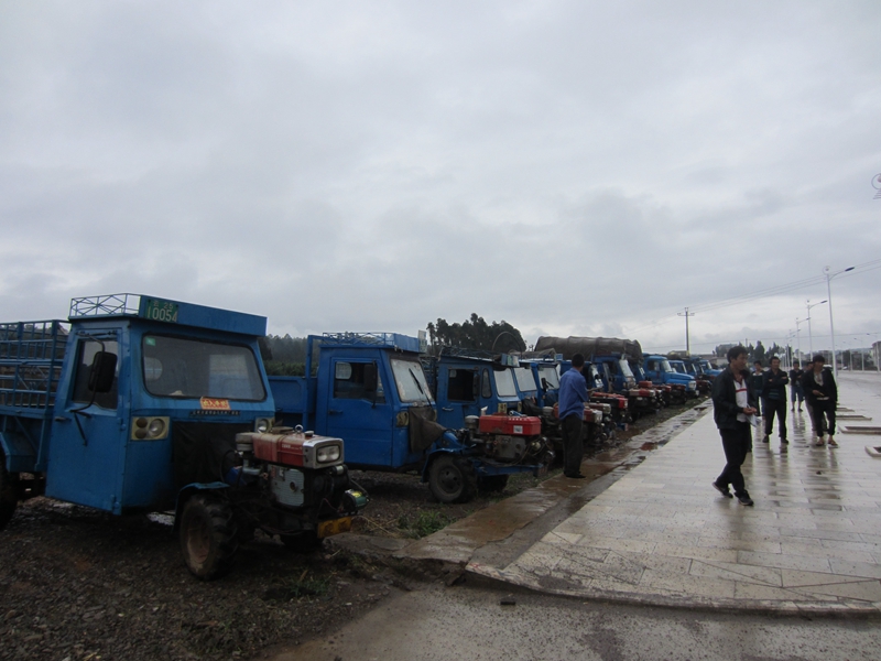 ���������أ�Ⱥ��·�������� ũ������͵���