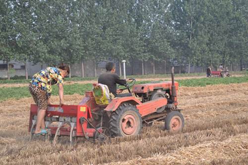 �����������۳����ŵ���ũ����������ļ�����