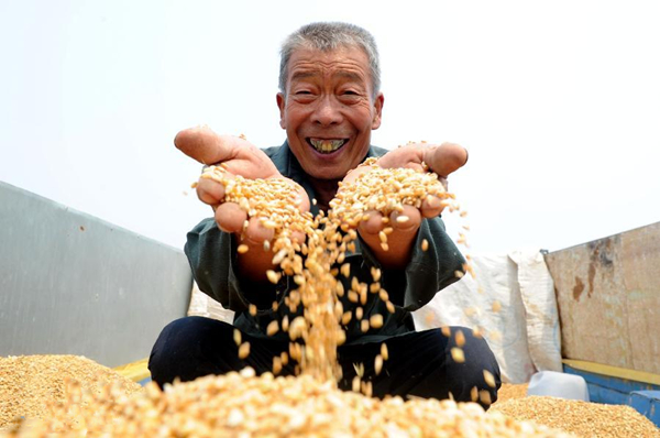 山东:“渤海粮仓”增仓在望