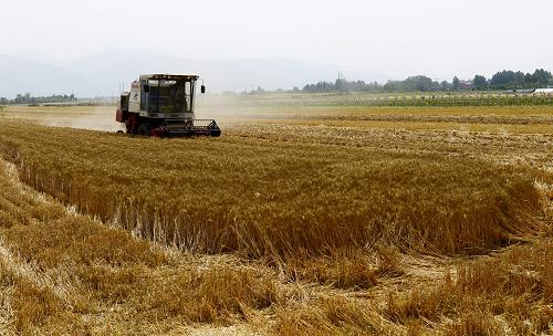 ��������˳������ �������Ƴ�5��