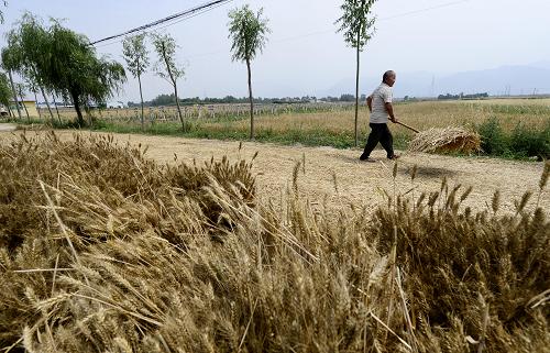 6��9�գ��������������Ŵ����Ի�е�ո����©��С����д�����ѹ��