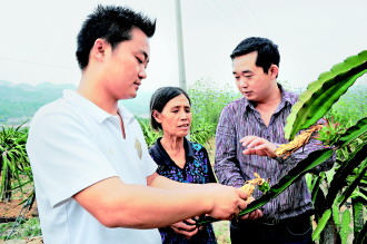 ݹ룺ʯɽȲҵ ̬޸ҵ¸