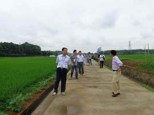 ũҵ־ֳ̺켼ԱϹɽĦ