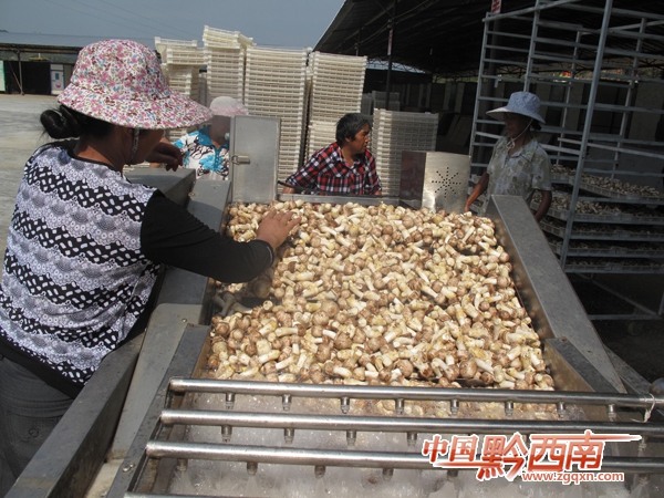 ݣϡʳþִЧũҵʾ԰ײƷ