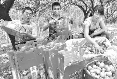 �����ų����ش��ӻ����