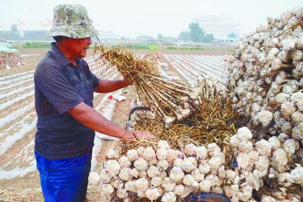 ɽ�����ش������ �����������ͷѰ���żҡ�