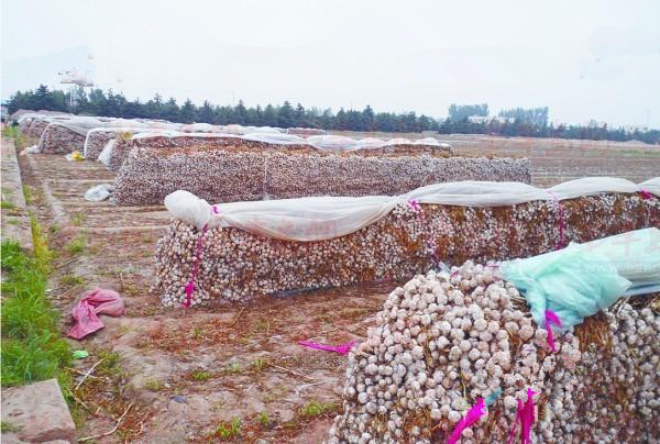 ������ڵ�ͷ�ȴ��չ��̵ĵ�����