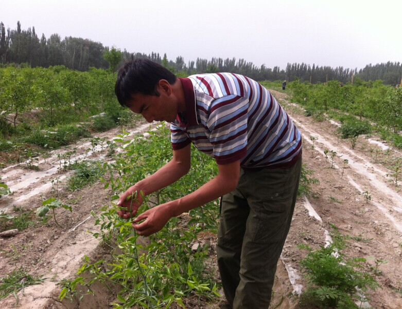 ½ɳŬͿʵֹҵ溦ķع