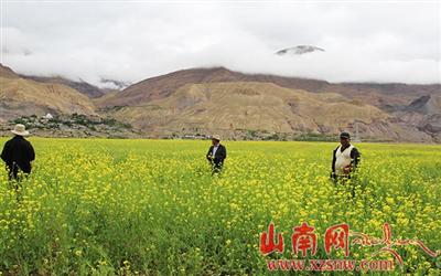 ͼΪһڹ̿ķհͲ˻Ѿʢ