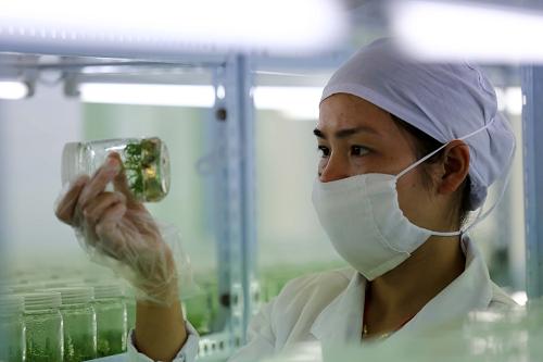 611գڹڰɽֳƼԱ۲ɼľ