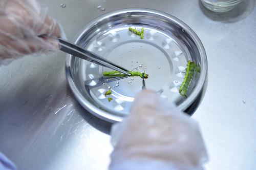 611գڹڰɽֳƼԱڽҽ֡