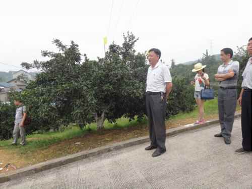 �����˶�ũҵ���ٿ��̽۾�Ʒ��԰�����ƽ���