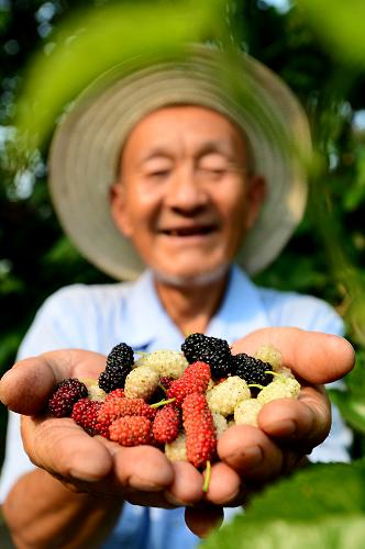 ɽĽػƺӹʵɭֹ԰ɣ԰һλũչʾ԰ɣ610㣩