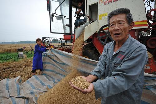ɽ����ׯ�У�����������С�����ù��