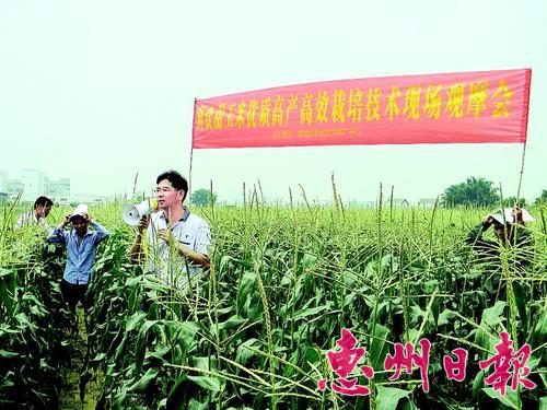 �㶫�����ƹ���������Ʒ��