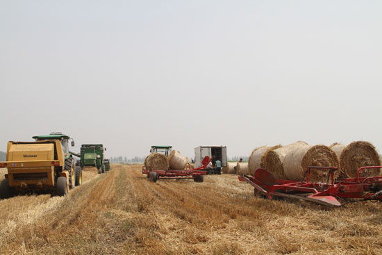 ���ջ�Զ��ȫ�����С����������