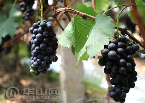 ����μ����μ���չ������������� ÿ������25Ԫ