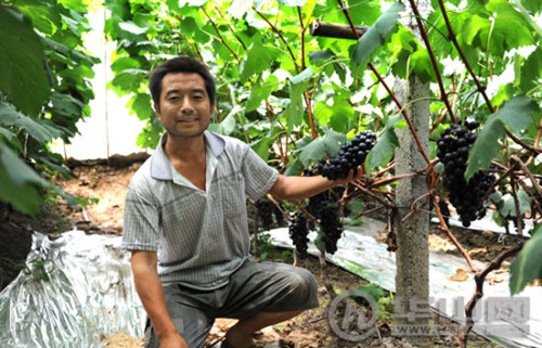 ����μ����μ���չ������������� ÿ������25Ԫ2