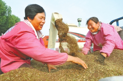 ���ϼ�Դ�հײ��������ո��