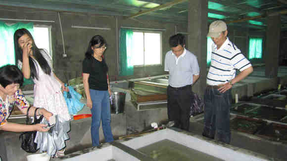 福建省淡水水产研究所来明指导渔业生产