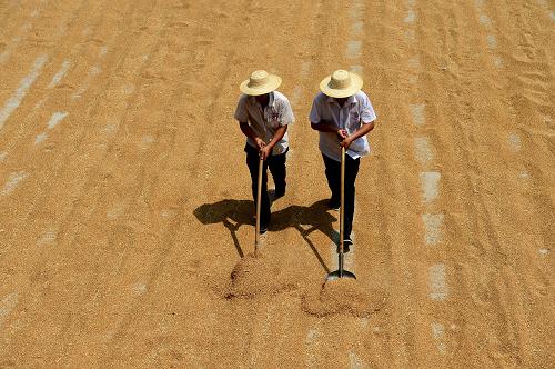 612գɽʡĽط۳ԱɹյС