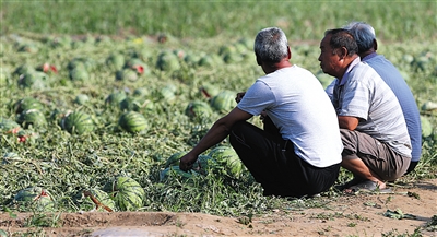 磬κׯ弸λũڹȴűչ˾ʧ