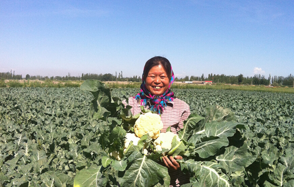 �½������أ����˷�����